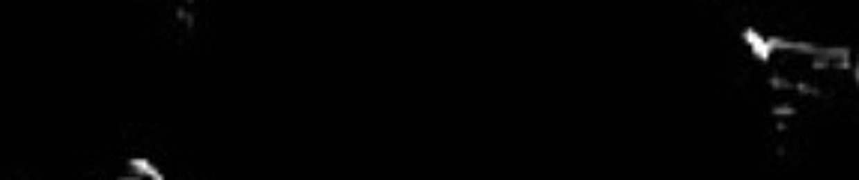 lomertaarchive'