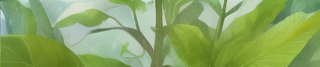Quang Bùi Văn