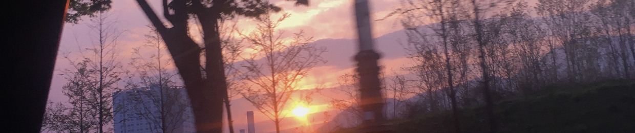 koreasonyun