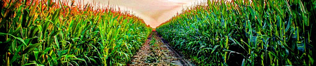 FARMR