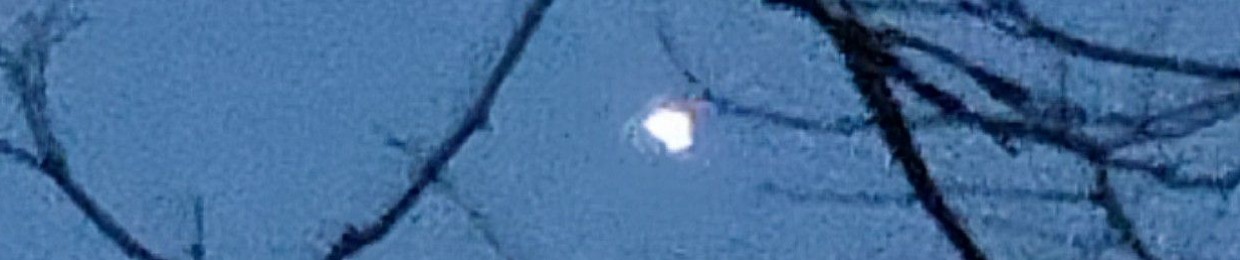 Moonliixir 2