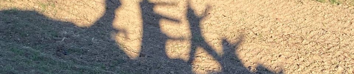 8978