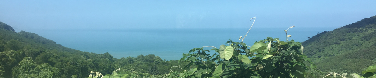 Ngọc Uyên Ngô