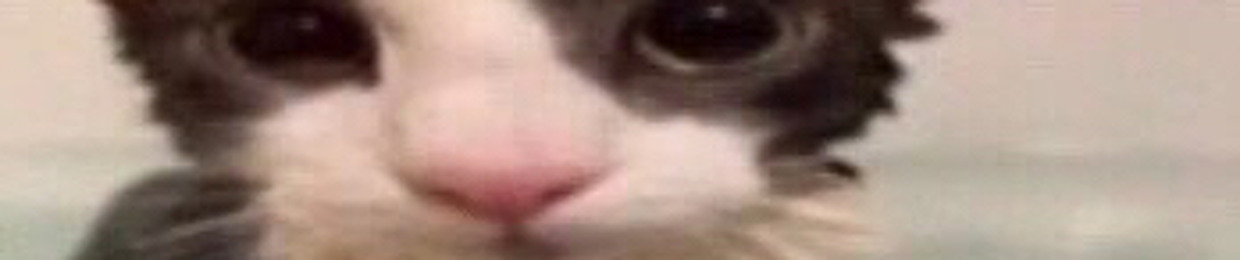 dd4m0n