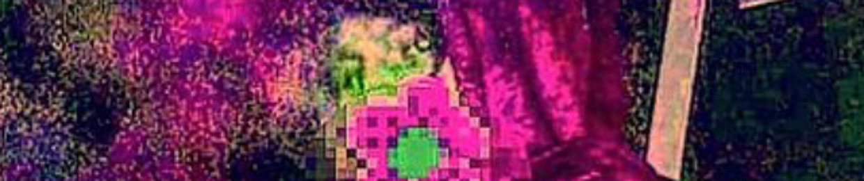 Gazer