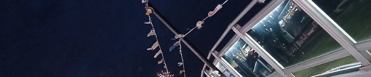 남이도