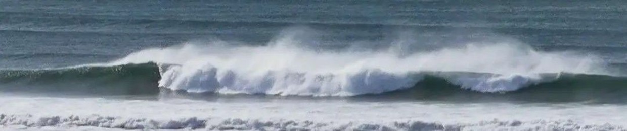 Julien Plvz