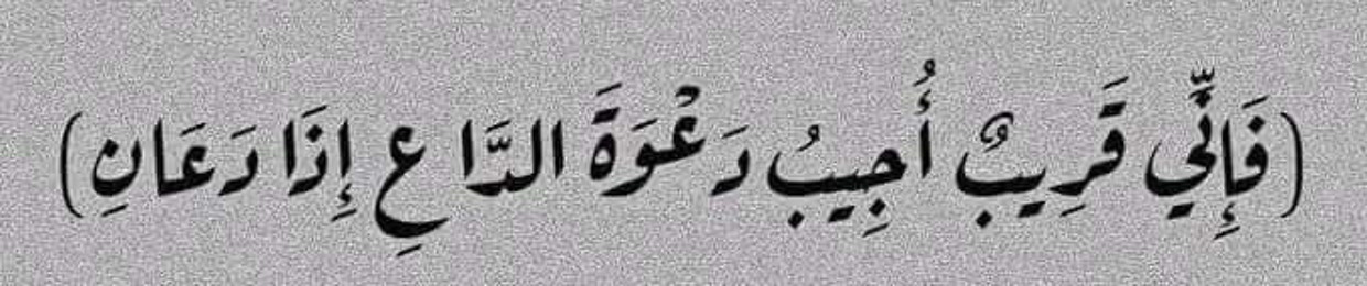 فاطمة عثمان