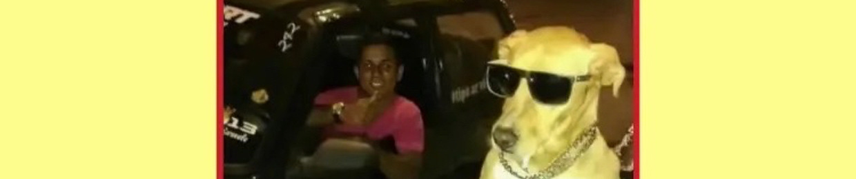 Træ Hefner