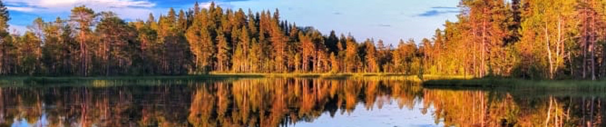 LugoSound