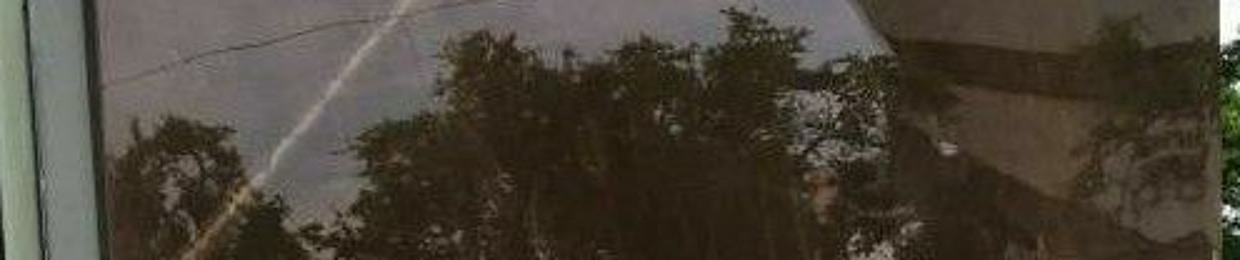 Sebastian Agredo Sotelo