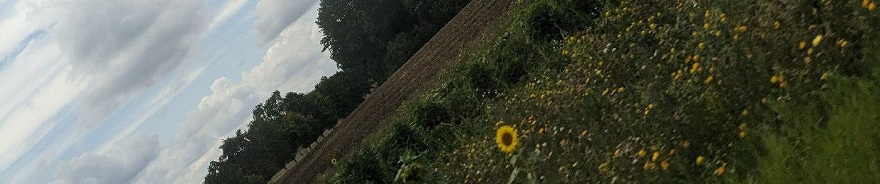 your_depression