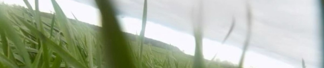 eetami