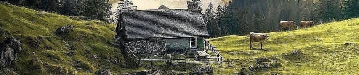 Chircu Marius