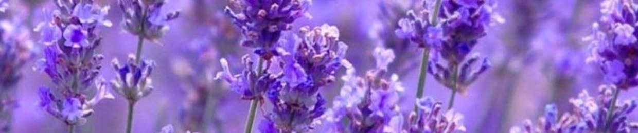 S✿⁠