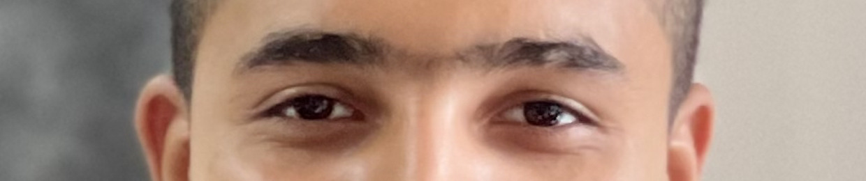 Tarek ekrame