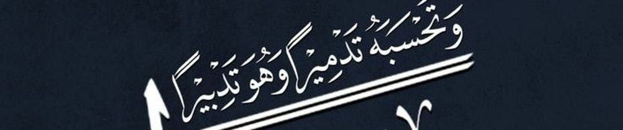 hisham ahmed