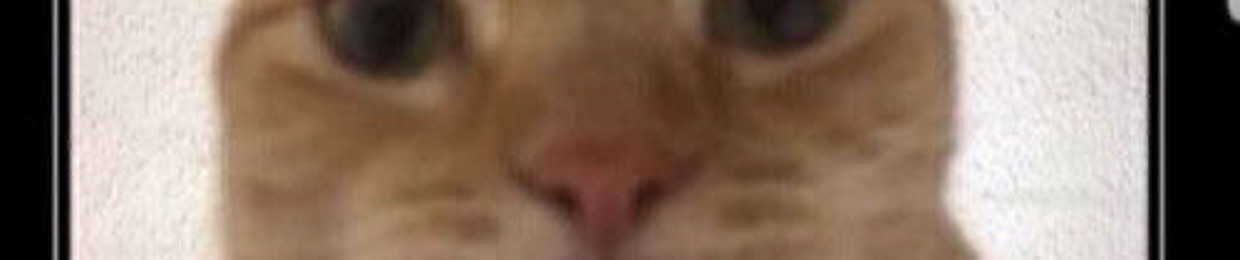 👤
