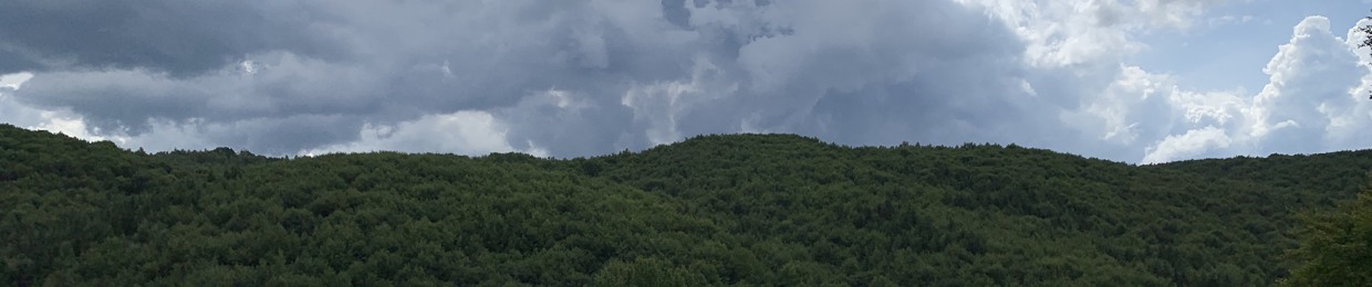 zanodot