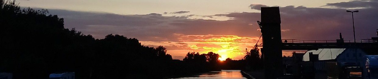 Armin junge 😵‍💫🤘