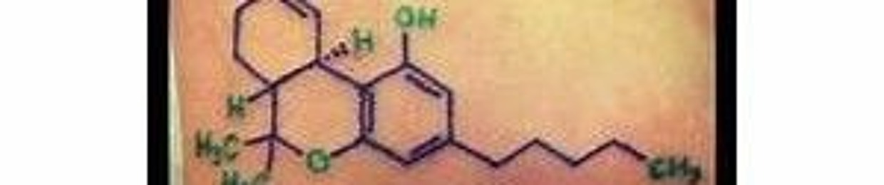 Christopher Haughton