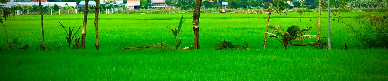 Đại Dương