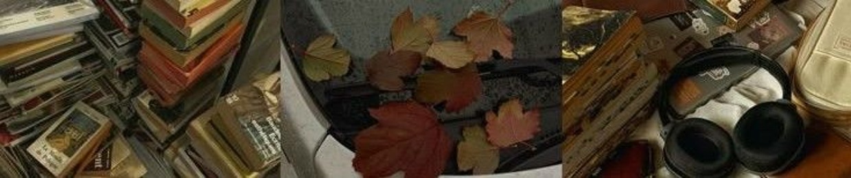 𖤐sohnie˖ ࣪ . ⊹ ࣪˖⁩