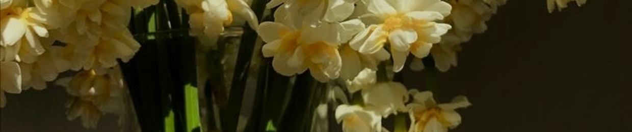 cemile_