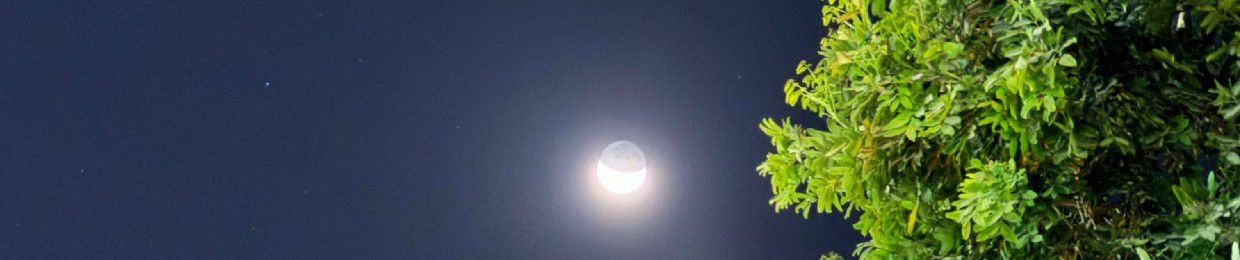 عبدالرحمن الخطيب