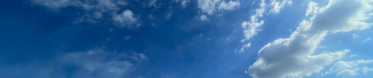 مستانه سلیمی