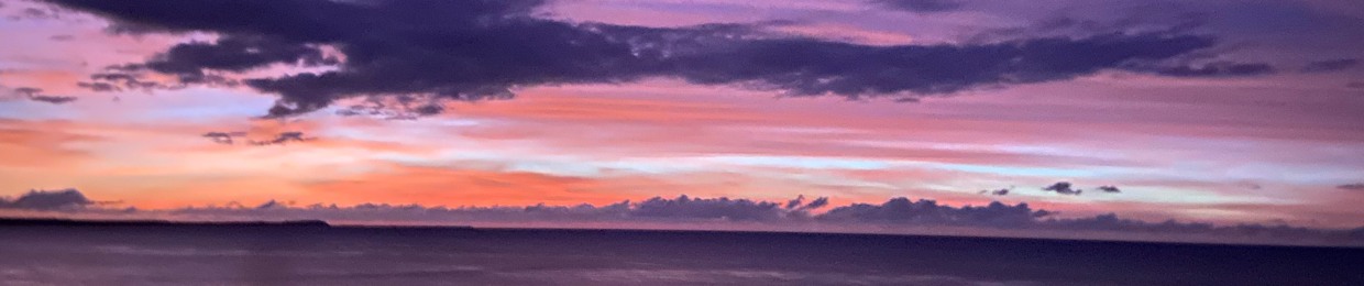 🅜︎𝕽𝕯ֆ🅦︎🥀