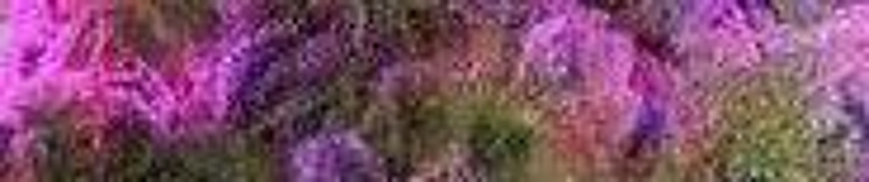 unz