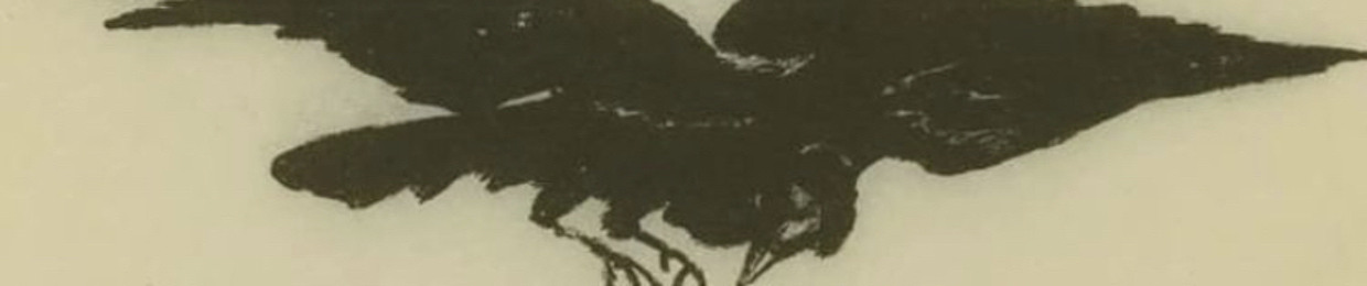 🦇🕊️