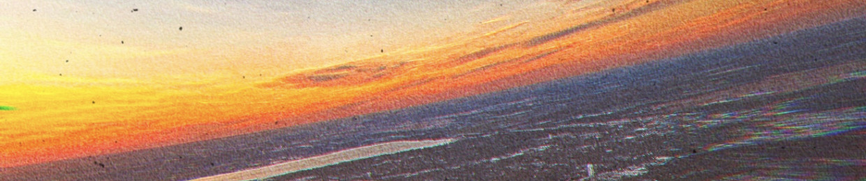 Stereology