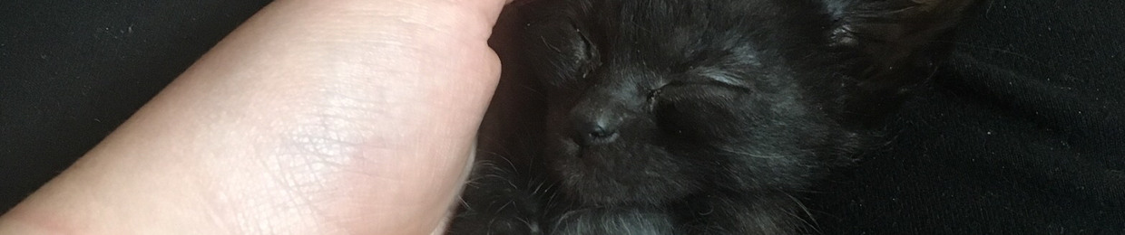 💗diana_reaper💗