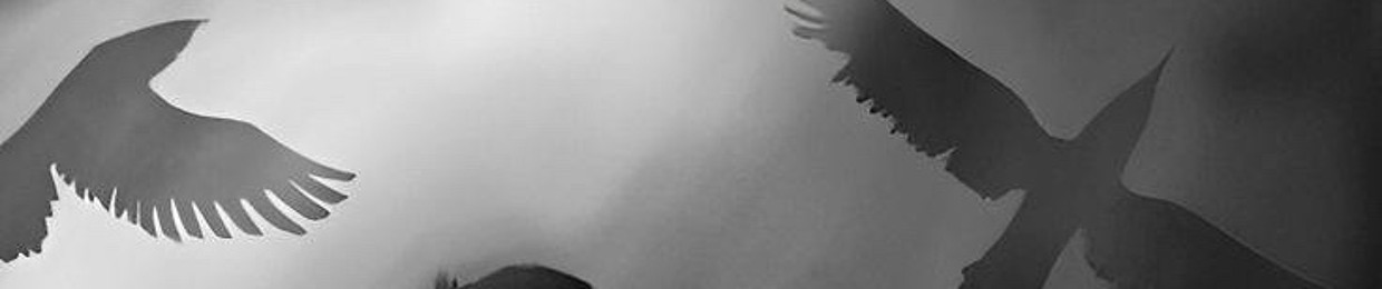 ➪𝓓 𝓐 𝓡 𝓚☠