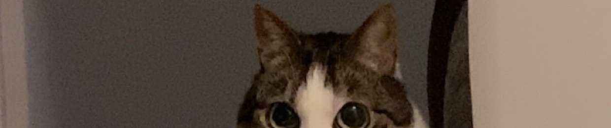 Mr Mumsonsdag