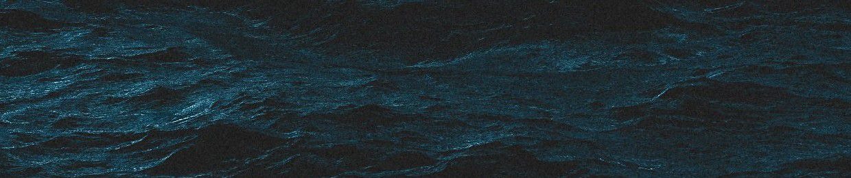 wavecrawler