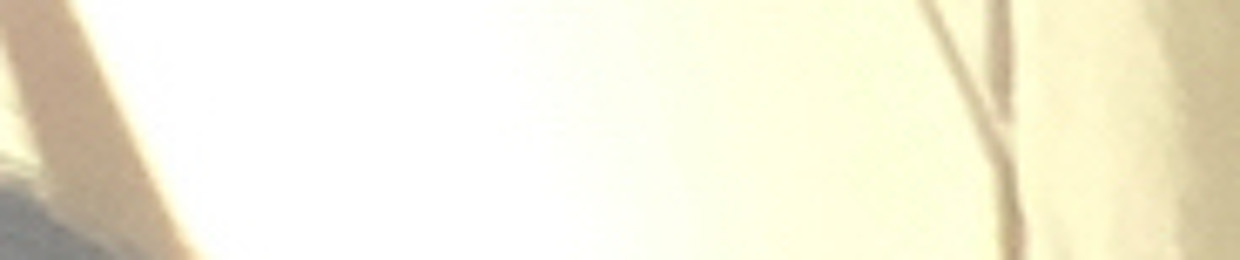 giangxmeomeo