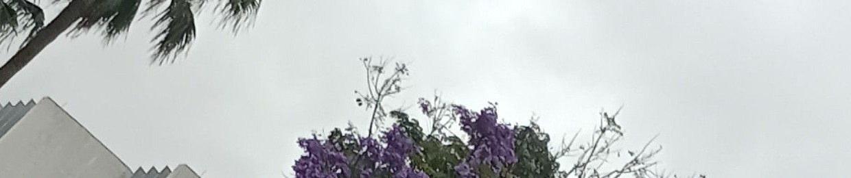 (⁠｡⁠•̀⁠ᴗ⁠-⁠)⁠✧