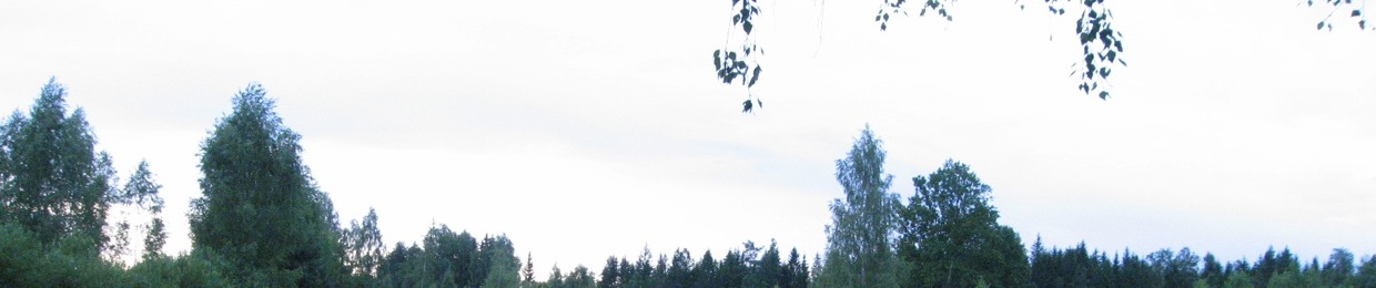 Tedė