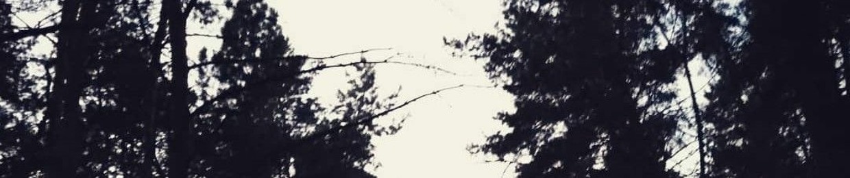 SXriToSUIHB