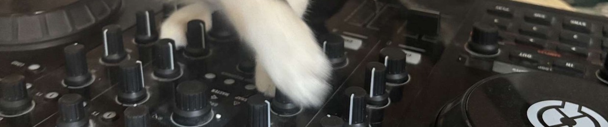 bug