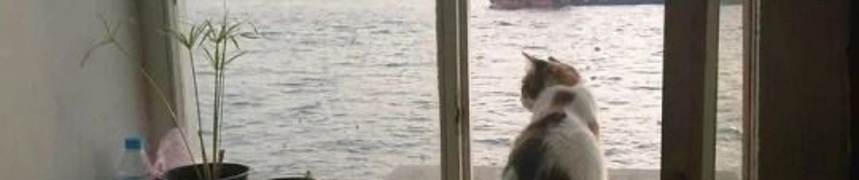 Раф на мендальном