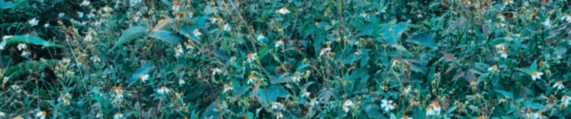 Stream Keisuke 君想い By 𝐄𝐔𝐍𝐈𓃕ˊ Listen Online For Free On Soundcloud