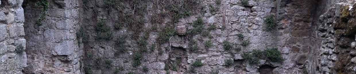 elvoret