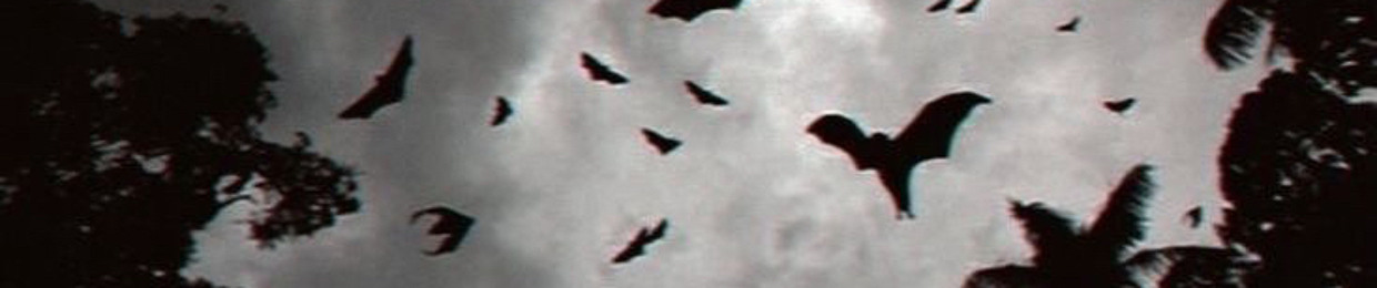 cirkit