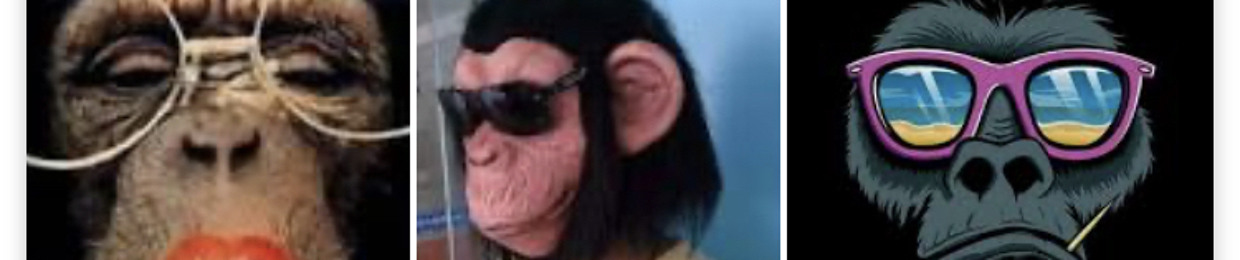 Gustavo Luiz Hoffmann