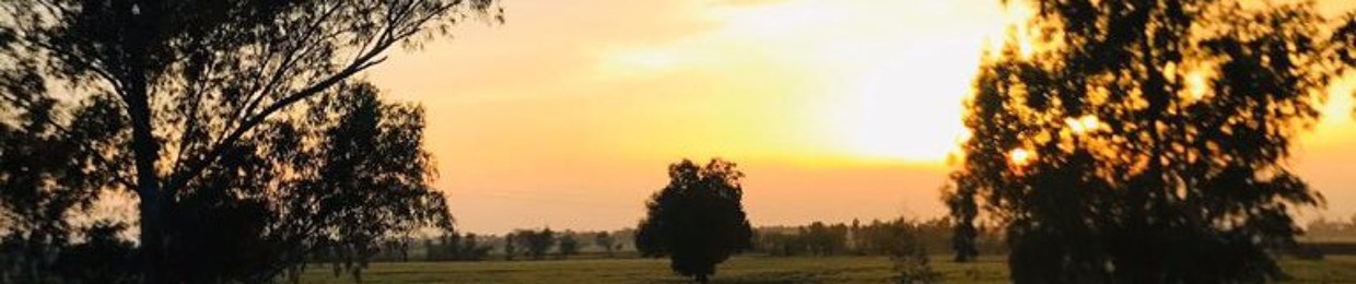 Syed Ali