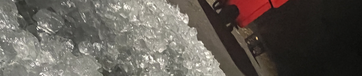 Freeze:(